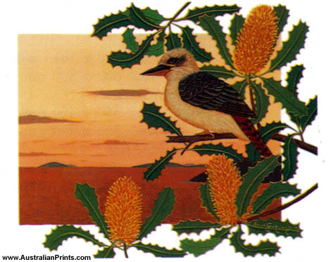 Anna Garland, Kookaburra on Tropical Banksia