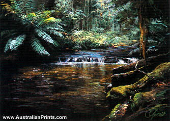 Colina Grant, Rainforest - Cascade