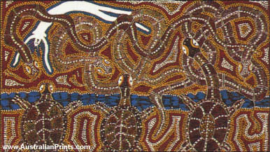 Yallaroo, Australian Aboriginal Art